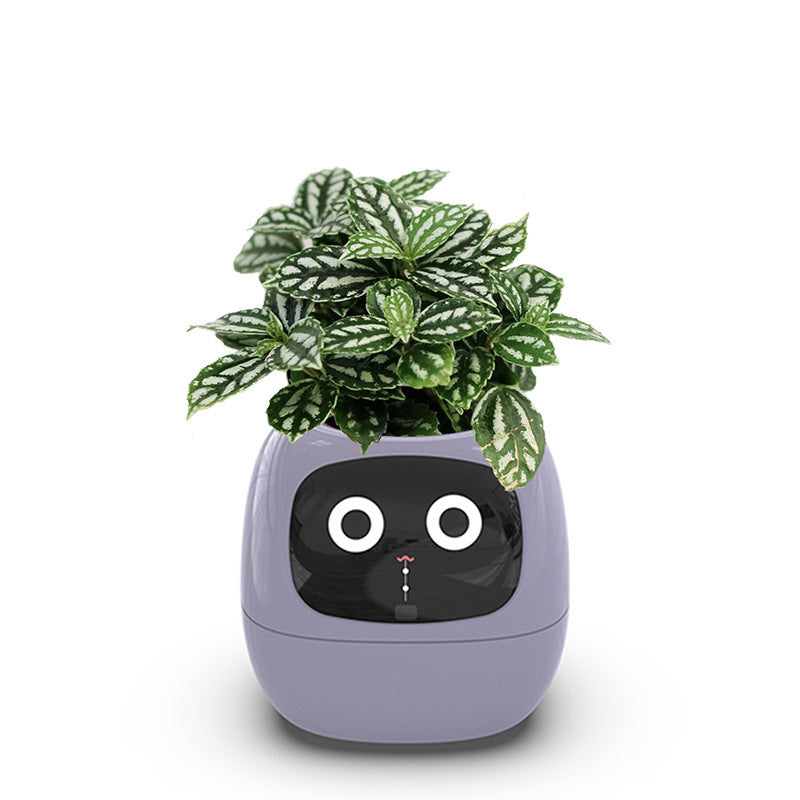 Intelligent lazy person automatic water-absorbing flowerpot