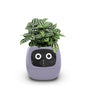 Intelligent lazy person automatic water-absorbing flowerpot