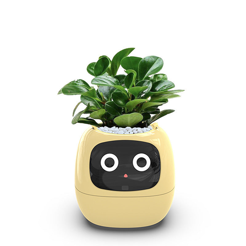 Intelligent lazy person automatic water-absorbing flowerpot
