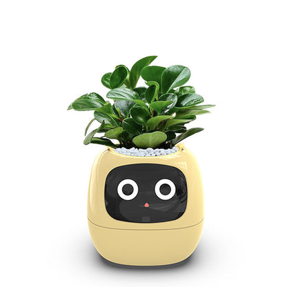 Intelligent lazy person automatic water-absorbing flowerpot