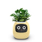 Intelligent lazy person automatic water-absorbing flowerpot
